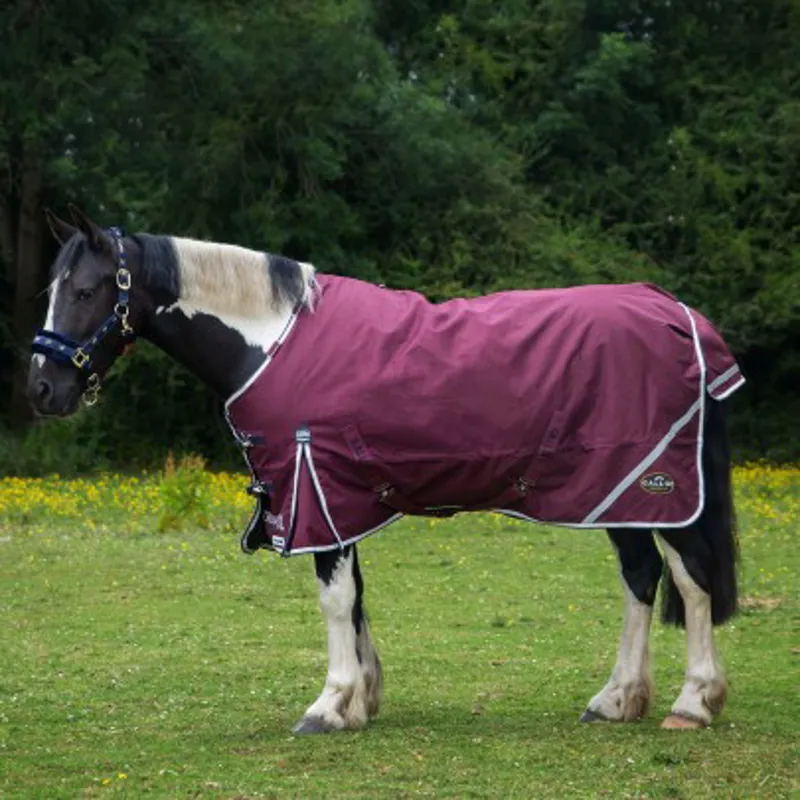 Gallop Trojan Xtra Duraproof 50g Standard Neck Turnout Rug