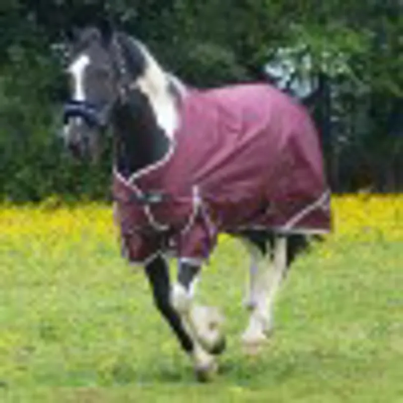 Gallop Trojan Xtra Duraproof 50g Standard Neck Turnout Rug-2
