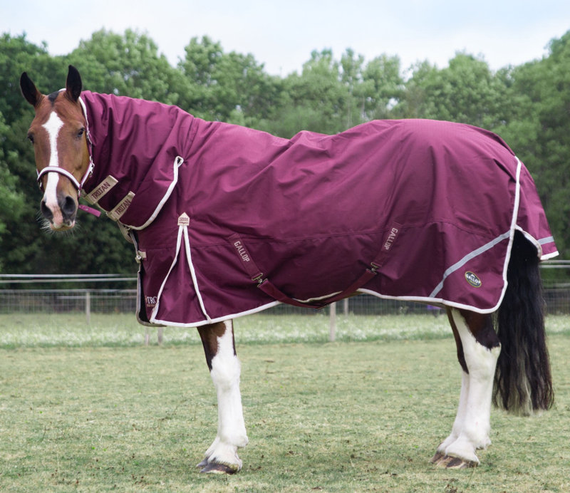 Gallop Trojan 100g Duraproof Combo Turnout Rug 1200 Denier Burgundy