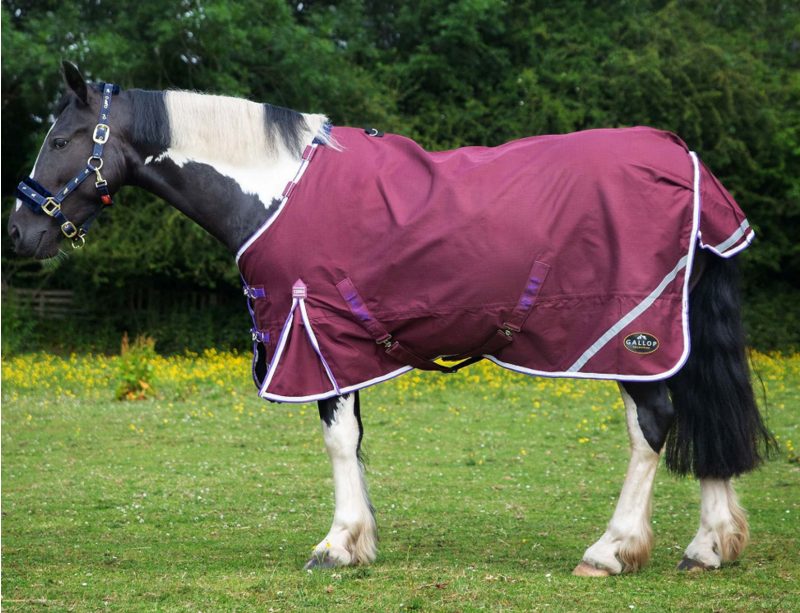 Gallop Trojan Xtra Duraproof Lightwieght Standard Neck 1200 Denier