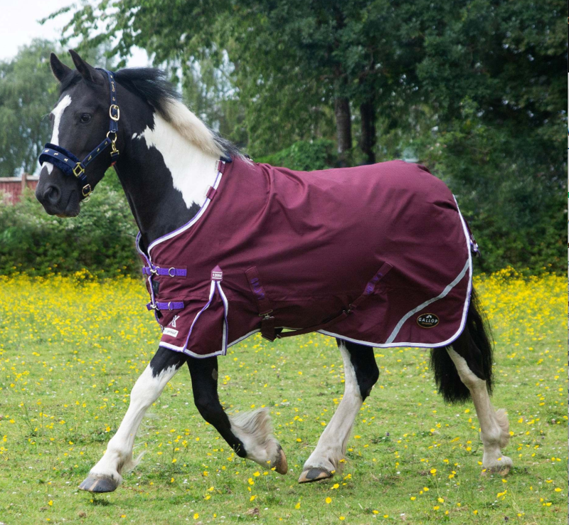 Gallop Trojan Xtra Duraproof Lightwieght Standard Neck 1200 Denier-3