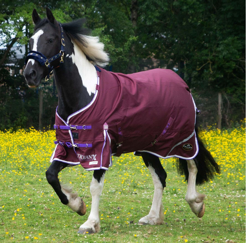 Gallop Trojan Xtra Duraproof Lightwieght Standard Neck 1200 Denier-4