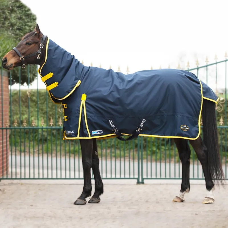 Gallop Trojan 600Denier 200g Combo Navy Yellow Rug