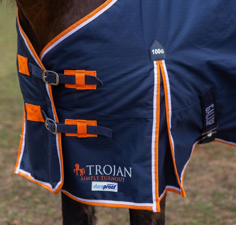 Gallop Trojan 100g Duraproof Standard Neck Turnout-2