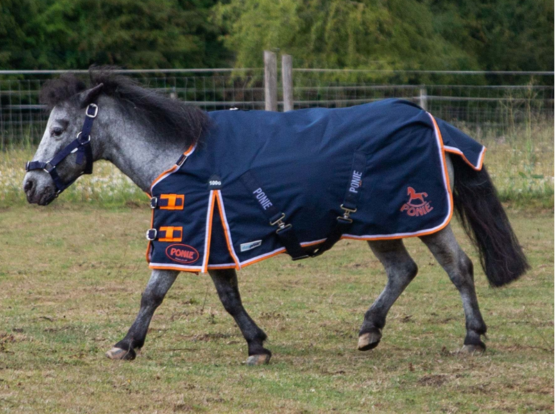 Gallop Ponie 100g Duraproof Standard Neck Turnout Navy-3