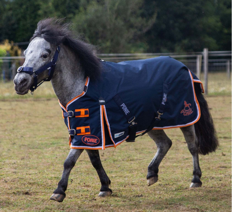 Gallop Ponie 100g Duraproof Standard Neck Turnout Navy-4