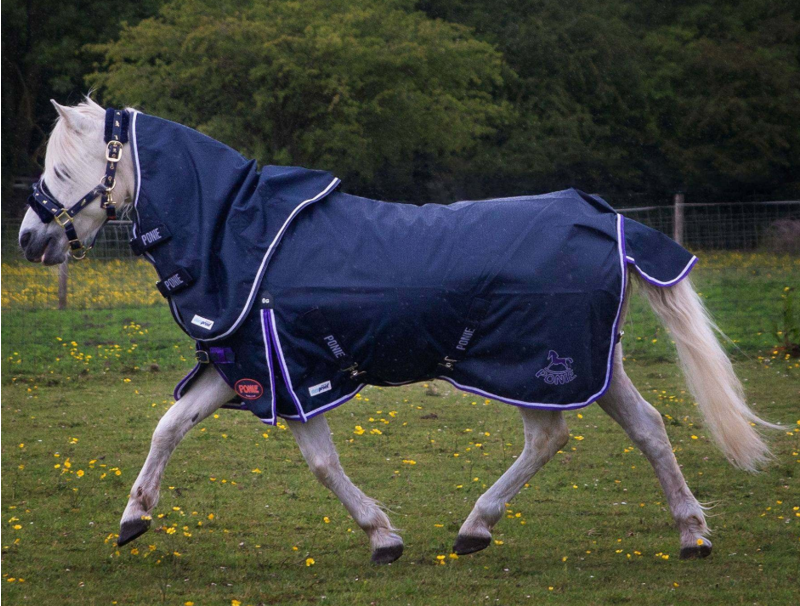 Gallop PONIE Duraproof Lightwieght standard neck turnout rug 600Denier 0g-4