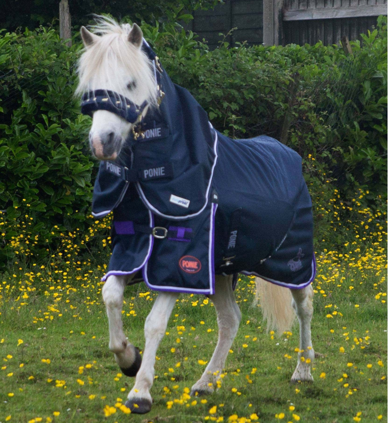 Gallop PONIE Duraproof Lightwieght standard neck turnout rug 600Denier 0g-5