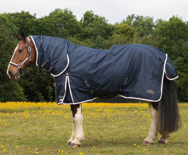 NEW Gallop TROJAN Duraproof Combo Turnout Rug - Navy 600d 50gm-1