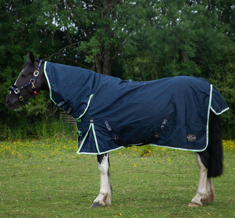 NEW Gallop Trojan Duraproof Combo Turnout 0g 600D