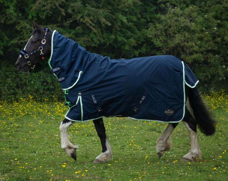 Gallop PONIE Lightweight Duraproof Combo Turnout-Navy-1