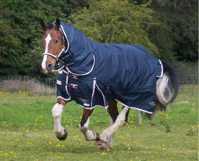 NEW Gallop TROJAN Duraproof Combo Turnout Rug - Navy 600d 50gm