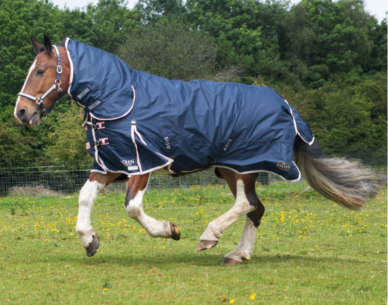 NEW Gallop TROJAN Duraproof Combo Turnout Rug - Navy 600d 50gm-2