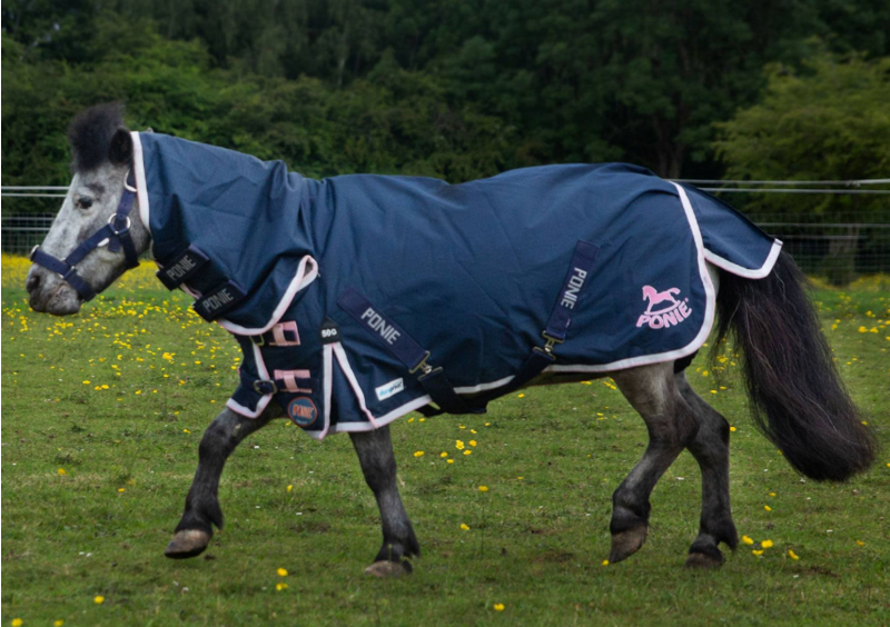 NEW Gallop PONIE Duraproof Combo Turnout-Navy 600d 50gm-3