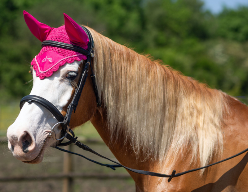 Gallop Quilted Close Contac Saddlecloth Fuschia/Pink c/w Ear Bonnet-1
