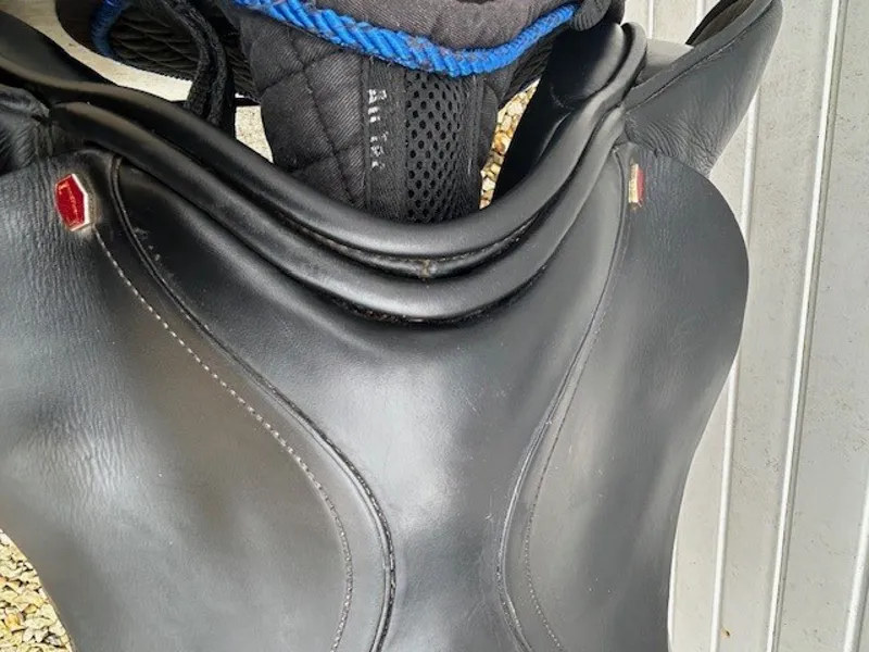 Albion Second Hand Adjusta Legend K2 171/2-3