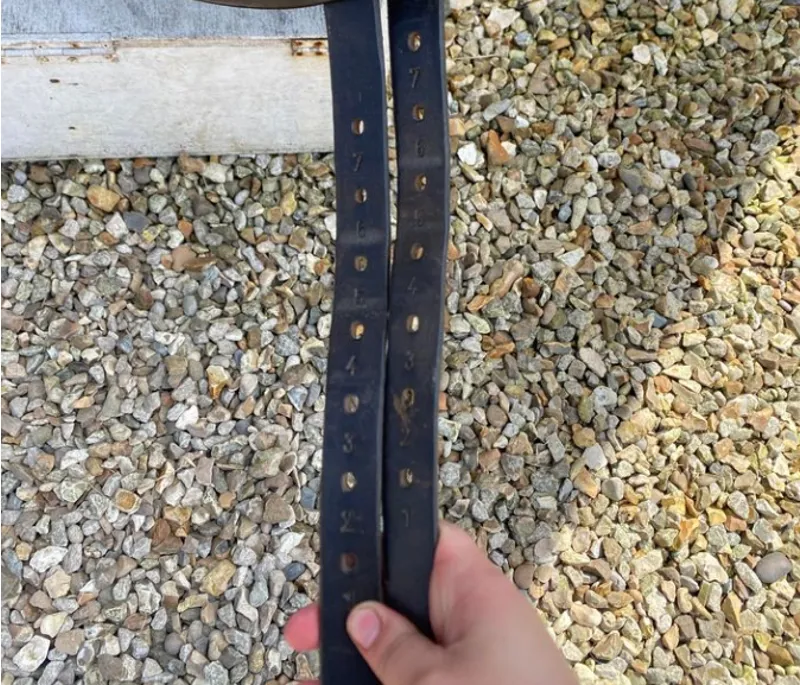 17.5 Silhouette Dressage Black Wide-4