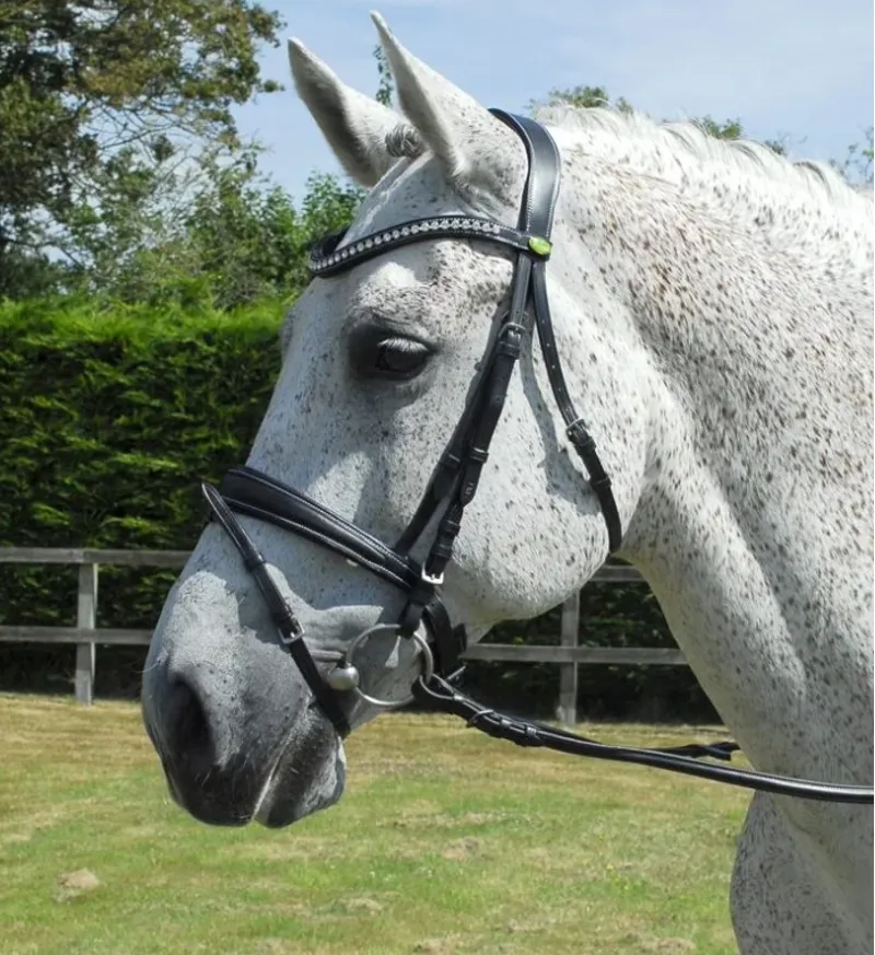 Rhinegold Diamonte Leather Anatomic Flash Bridle Havanna