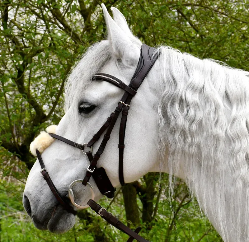 Rhinegold Luxe Anatomical Mexican Noseband Bridle Black Full