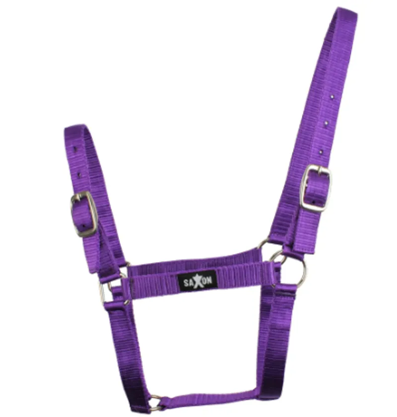 Saxon Brights Headcollar Purple Pony
