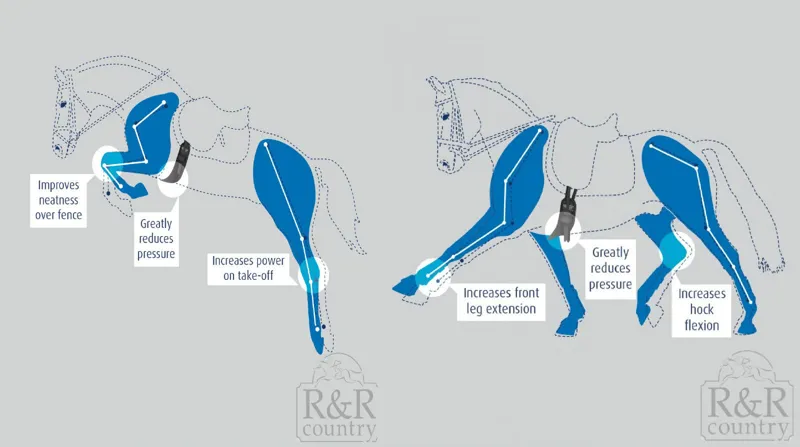 Prolite Pony Girth Long Standard Black-1