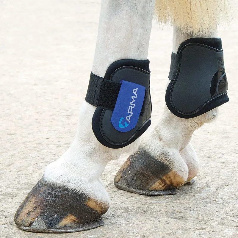 Arma Cob/Full Fetlock Boots in Black/Royal Blue