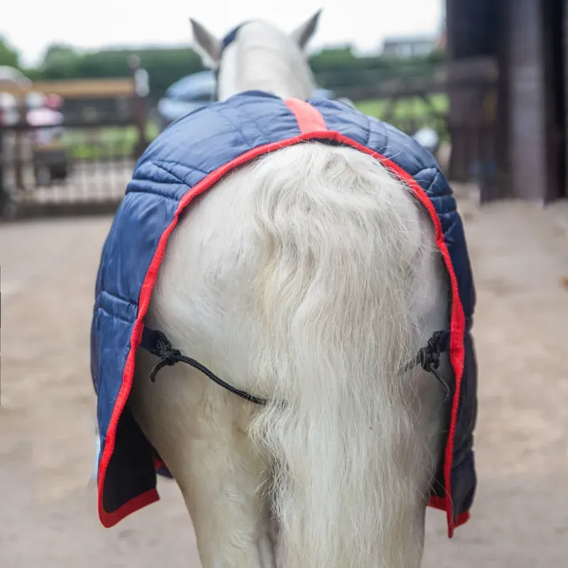 Gallop Ponie 200g Stable Rug in Navy-1